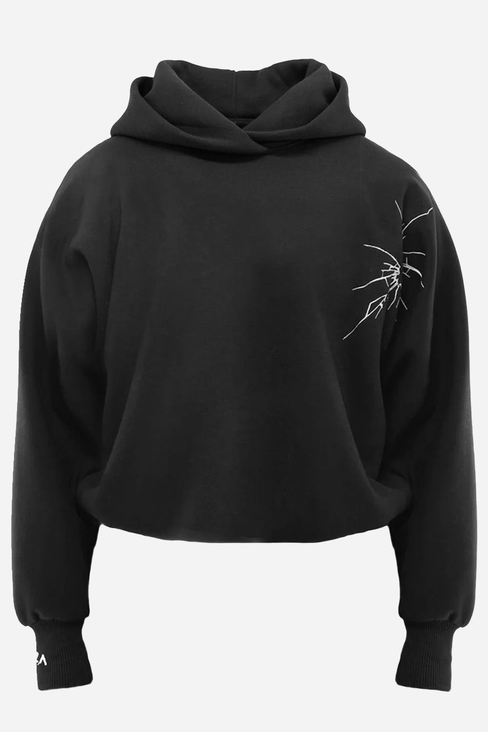 Hardy embroidered Hoodie